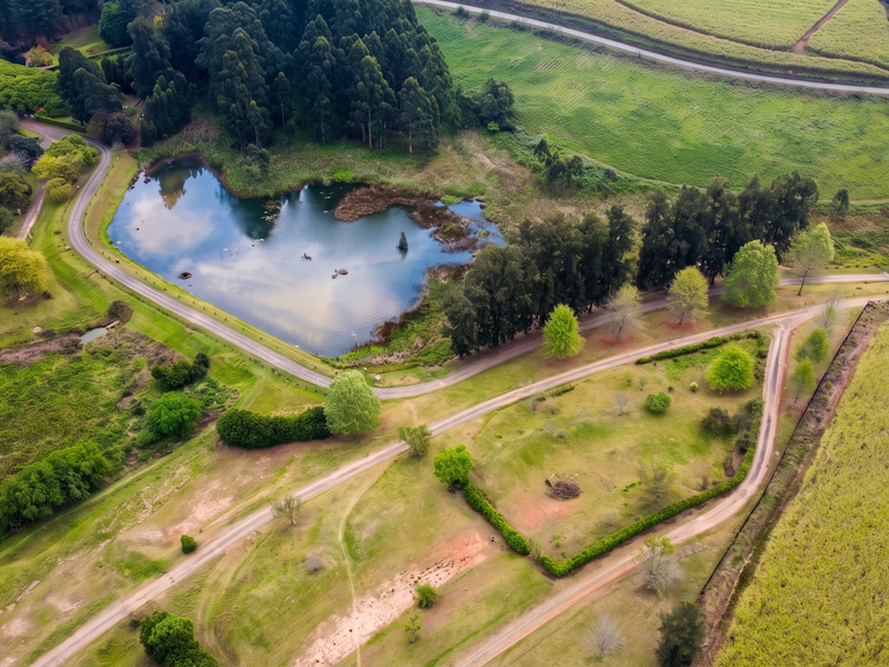 An aerial view of a vacant residential plot featuring natural landscape, mature trees, a pond, and established dirt access roads.