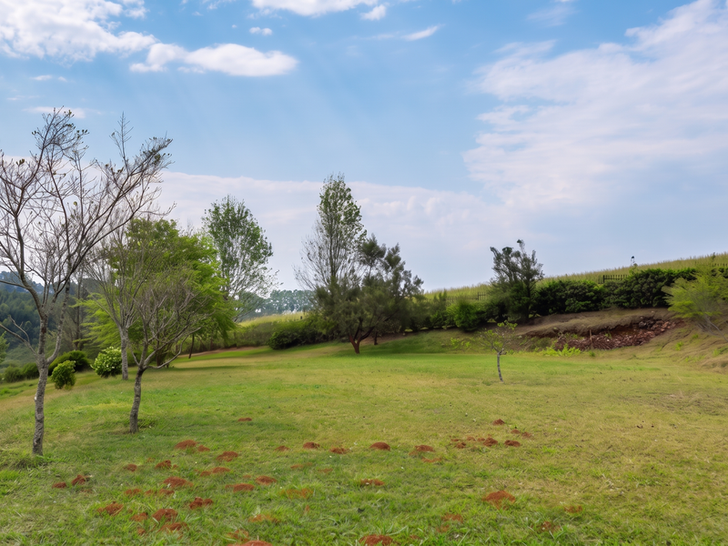 A spacious, well-maintained grassy plot featuring mature trees and gentle slopes, offering a peaceful natural setting for potential residential development.