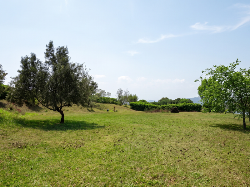 A spacious, well-maintained grassy plot featuring mature trees and open landscape, suitable for residential development.