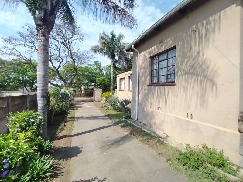 A side view of the property showing a concrete driveway, established garden, and exterior wall with steel-framed windows.