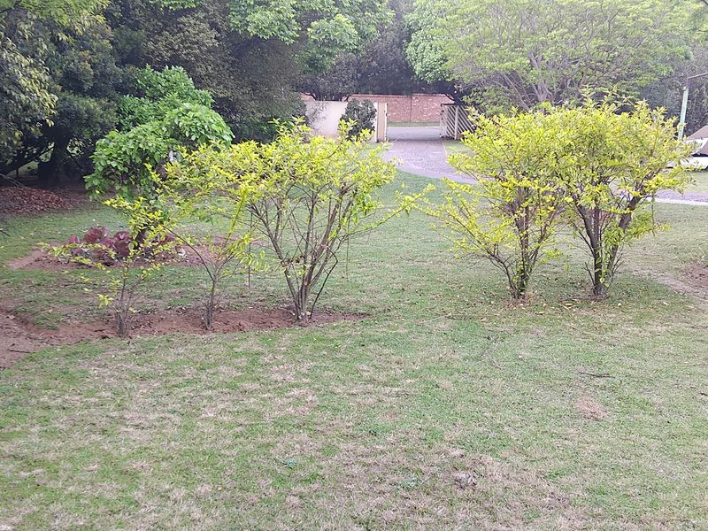 A view of the property's garden area featuring a lawn, established shrubs, and a paved driveway leading towards the entrance.