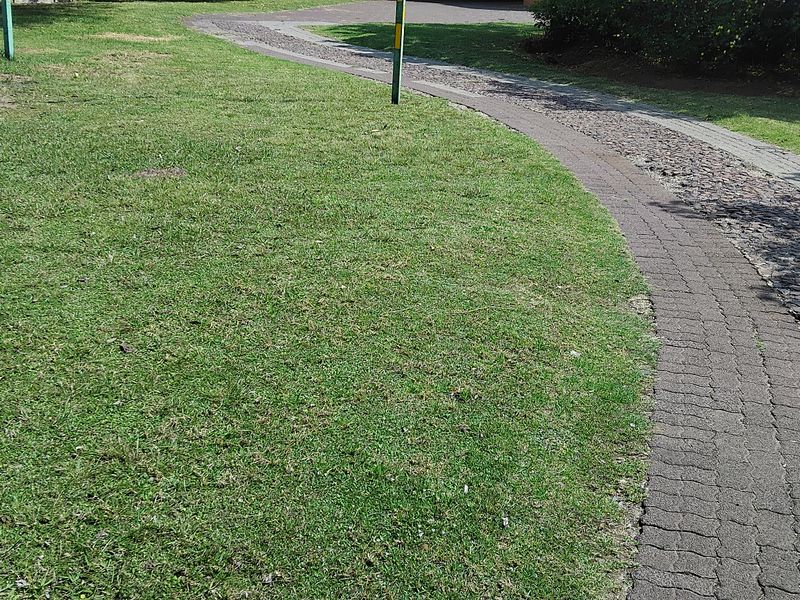 A view of the garden area featuring a paved walkway and lawn space, showing signs of wear and maintenance requirements.