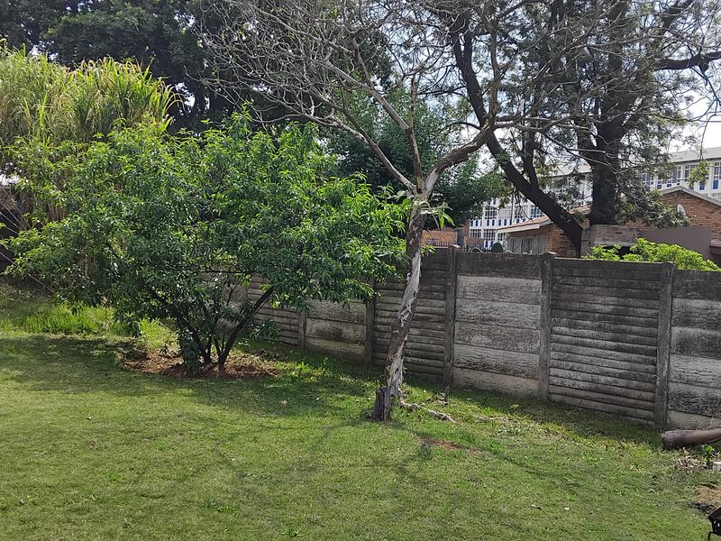 A spacious backyard garden featuring a lawn, mature trees, and a precast concrete boundary wall.