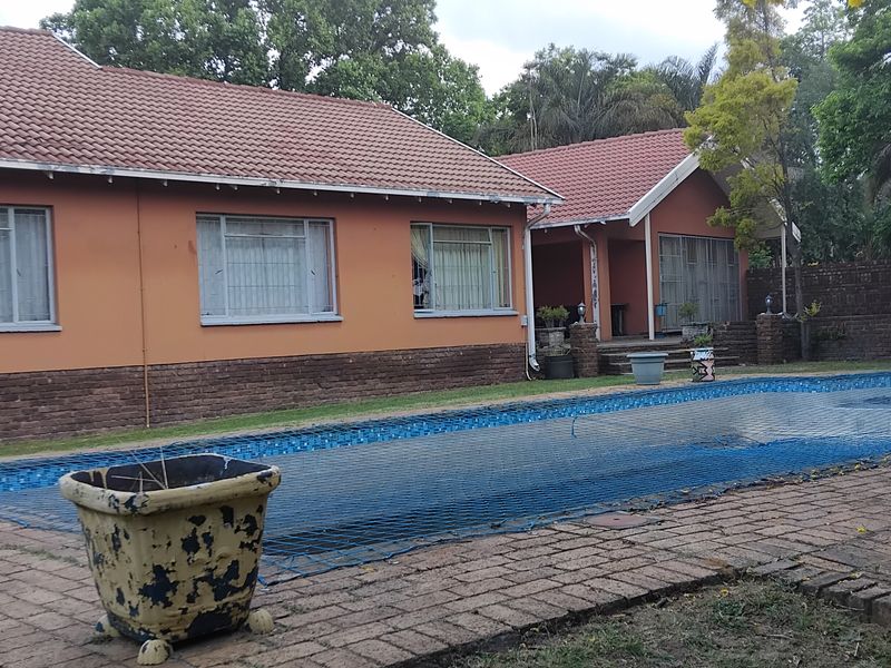 Rear view of the house featuring a swimming pool with a safety net, brick paving, and a tiled roof structure.