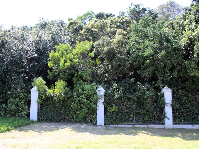 A view of a residential garden featuring mature trees, a lawn, and a boundary fence supported by masonry pillars.