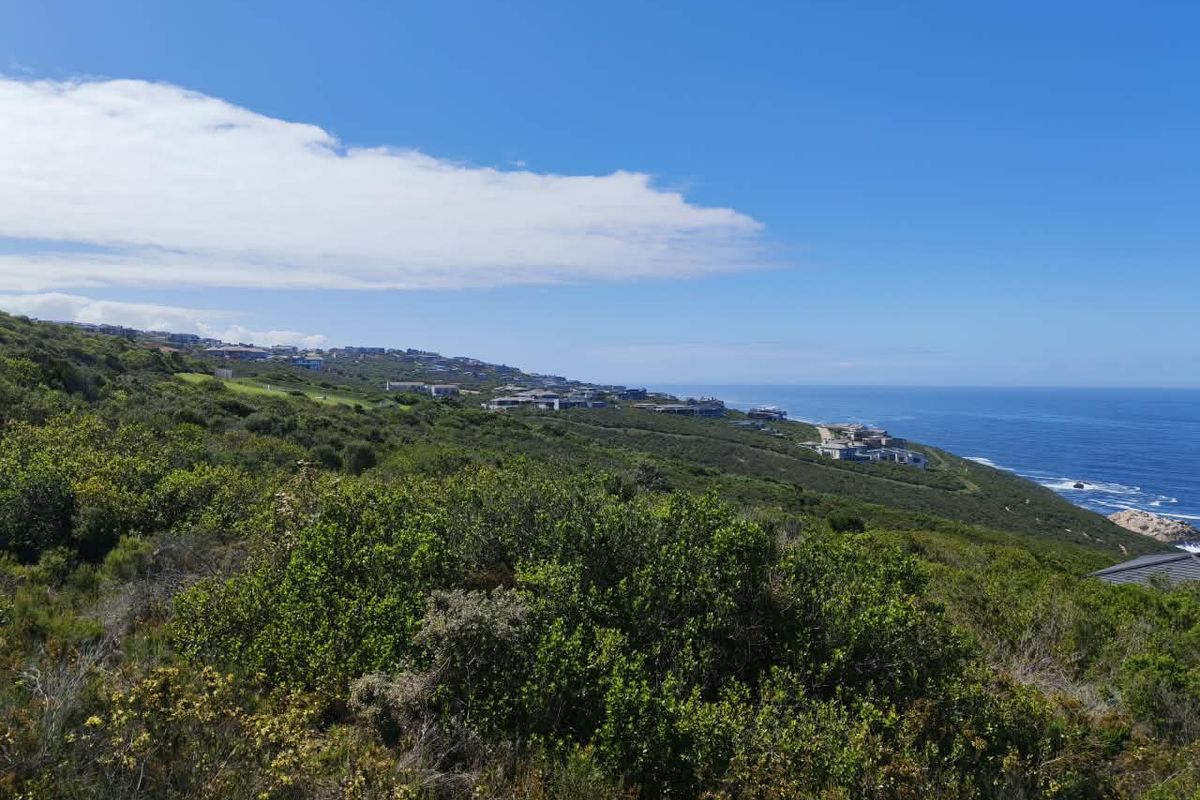 A scenic coastal view overlooking the natural landscape and nearby residential development along the coastline.