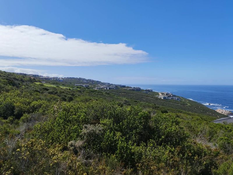 A scenic coastal view overlooking the natural landscape and nearby residential development along the coastline.