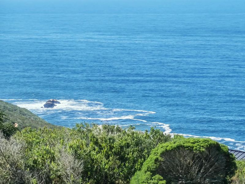 A scenic elevated view of the ocean coastline with natural vegetation in the foreground.