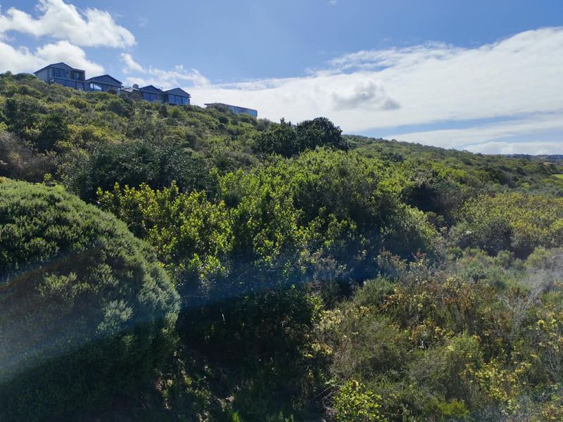A view of the sloped, naturally vegetated residential land with neighboring properties visible on the hillside above.
