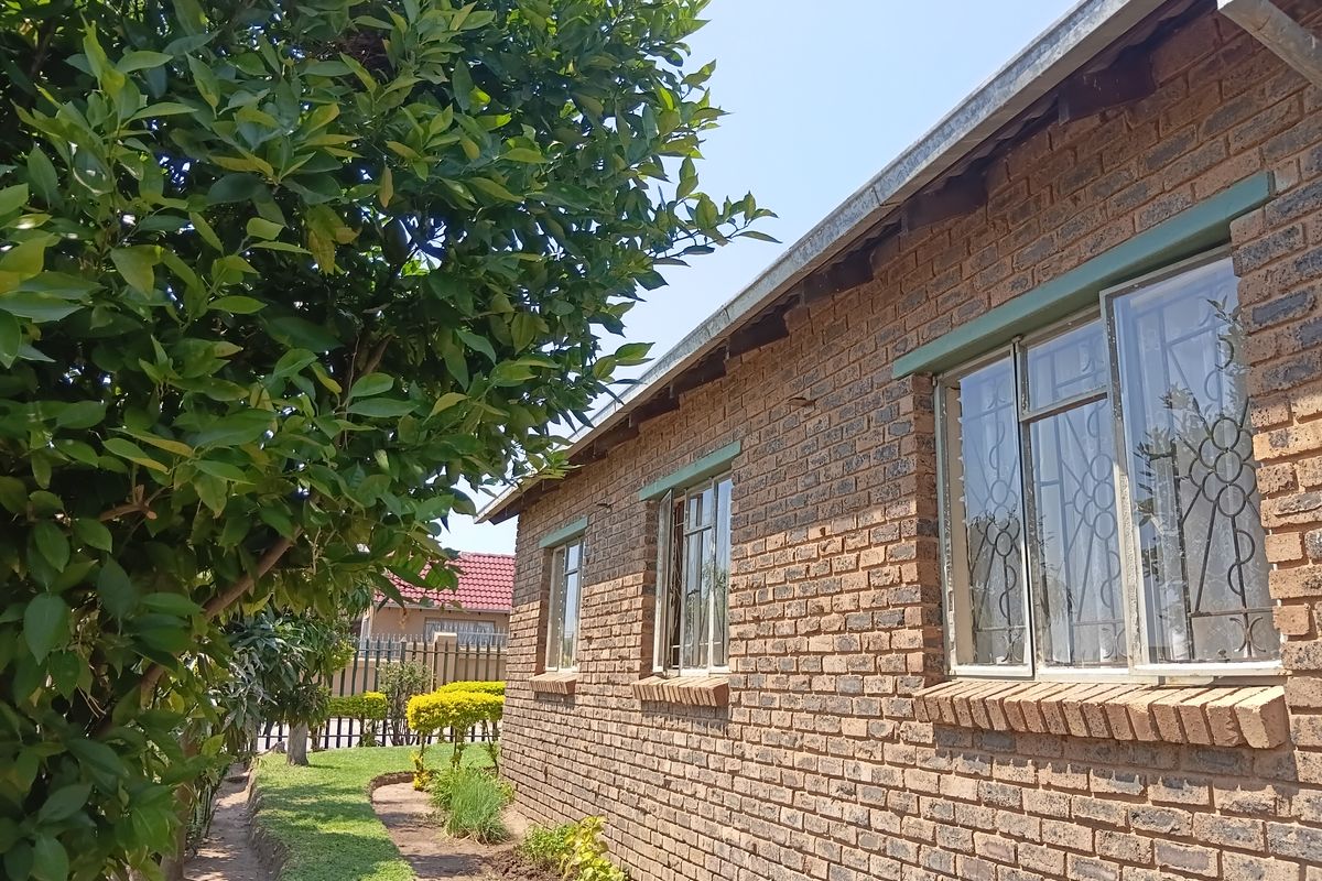 A side view of the house featuring face brick exterior walls, metal window frames with security bars, and established garden greenery.