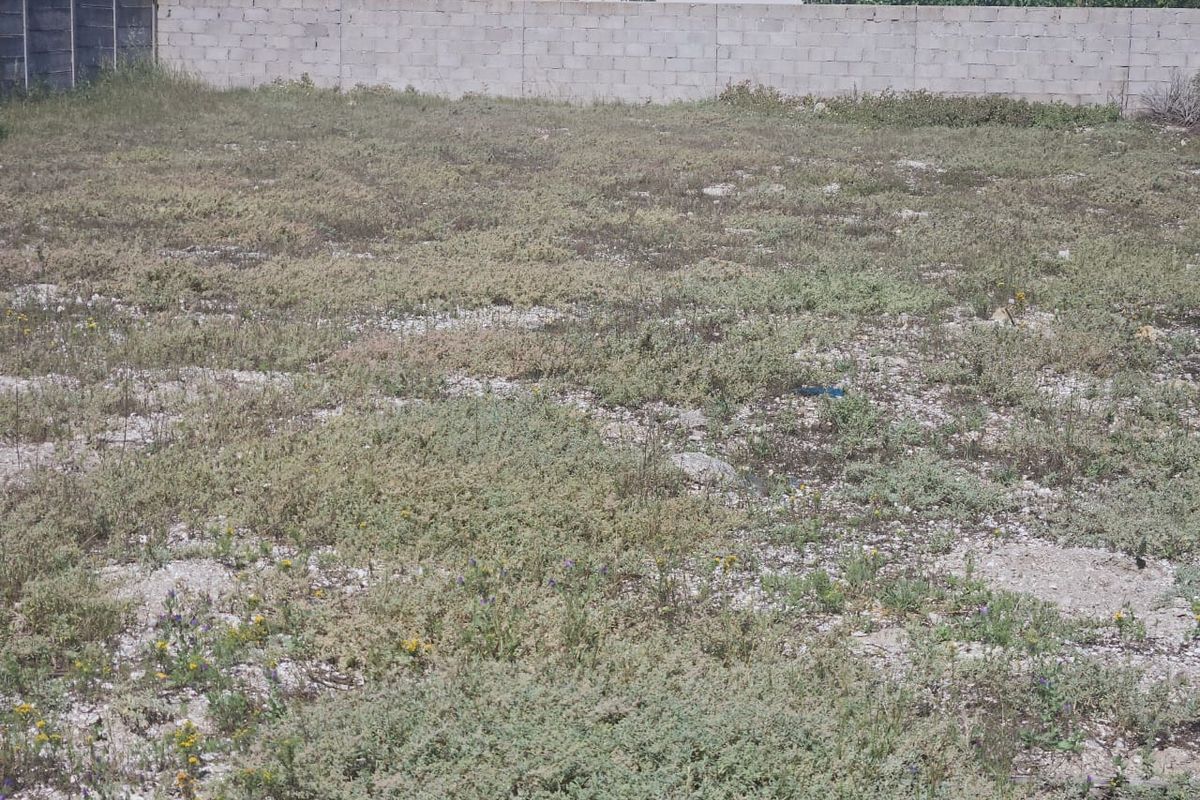 A vacant residential plot featuring natural ground cover and a concrete block boundary wall at the rear.