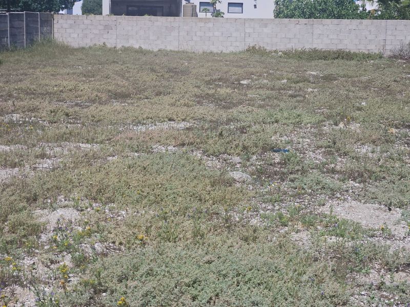 A vacant residential plot featuring natural ground cover and a concrete block boundary wall at the rear.