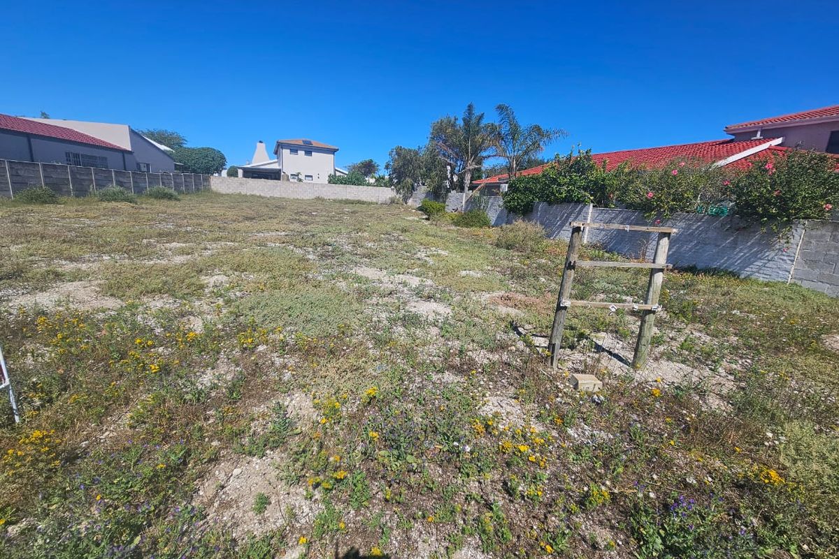 A vacant residential plot featuring natural ground cover and enclosed by perimeter boundary walls, offering a blank canvas for future development.