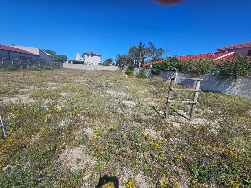 A vacant residential plot featuring natural ground cover and enclosed by perimeter boundary walls, offering a blank canvas for future development.