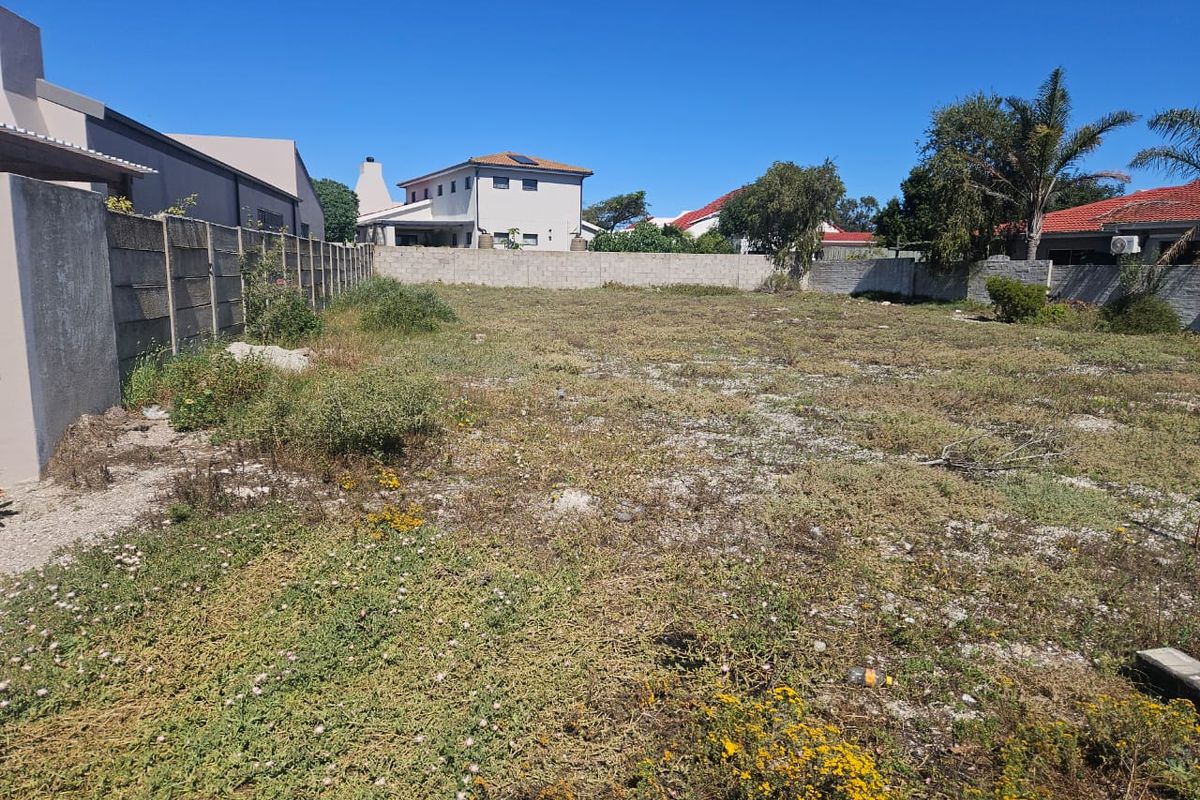 A vacant residential plot enclosed by concrete boundary walls, offering a clear space ready for development.