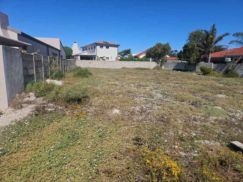 A vacant residential plot enclosed by concrete boundary walls, offering a clear space ready for development.