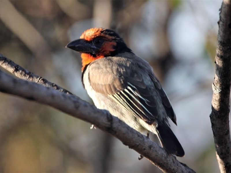 A photograph of a bird perched on a tree branch, which is not relevant to the property's real estate assets.