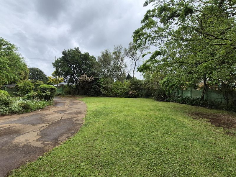 A spacious garden area featuring a large lawn, mature trees, and a paved driveway with visible surface wear.