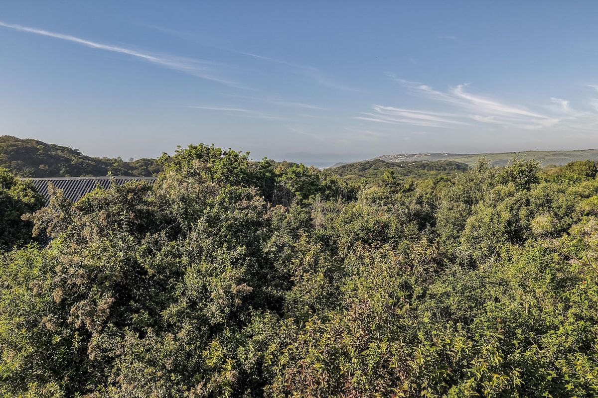 A scenic elevated view overlooking dense natural vegetation and rolling hills under a clear blue sky.
