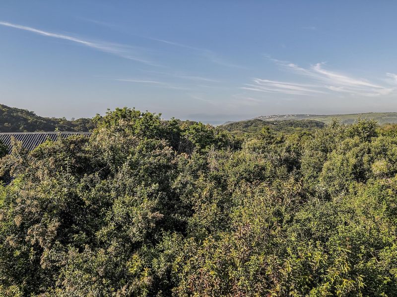 A scenic elevated view overlooking dense natural vegetation and rolling hills under a clear blue sky.