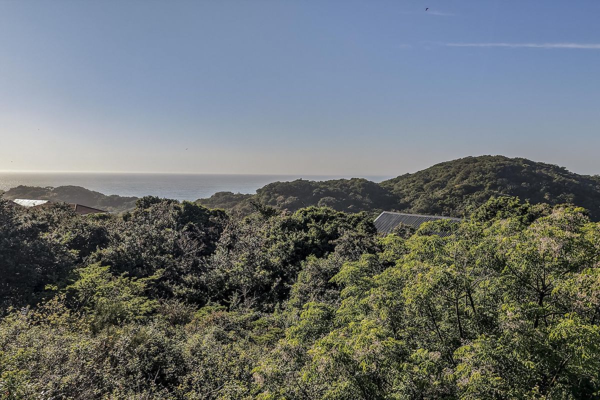 A scenic elevated view overlooking lush coastal vegetation and the distant ocean horizon.