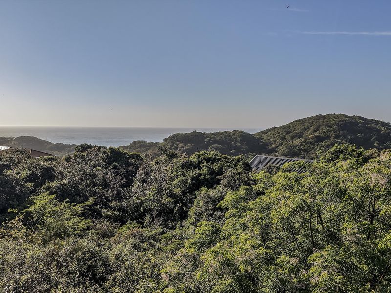 A scenic elevated view overlooking lush coastal vegetation and the distant ocean horizon.