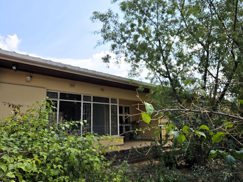 A view of the rear exterior of the house, featuring a covered patio area, large windows with security bars, and surrounding garden foliage.
