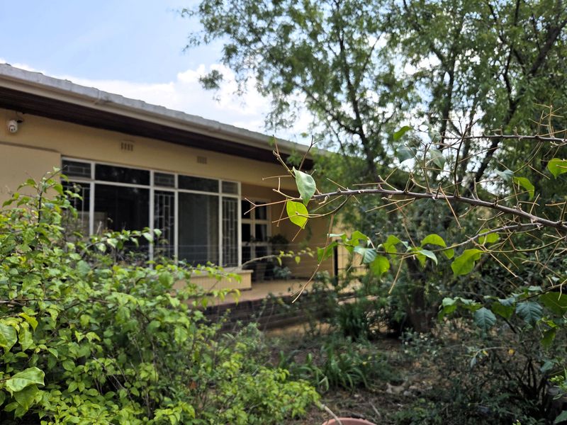 A view of the rear exterior of the house featuring a covered patio area, large windows with security bars, and established garden surroundings.