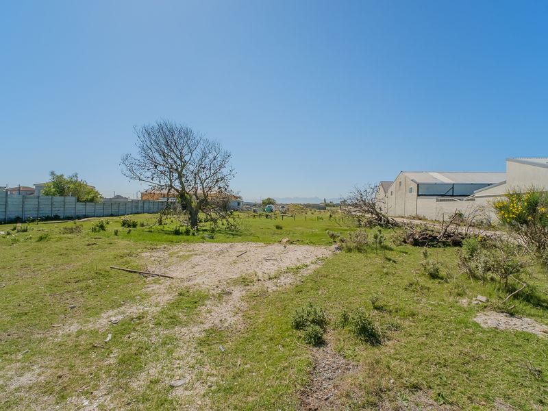 An expansive, undeveloped plot of land featuring a precast concrete boundary wall and natural vegetation, offering potential for future landscaping or development.