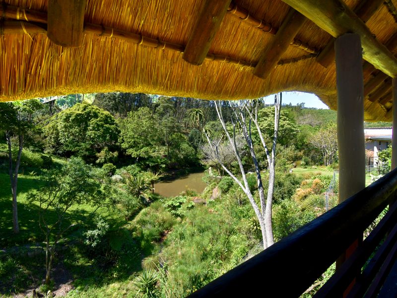 A covered balcony featuring a traditional thatched roof and timber supports, offering a scenic view over a lush garden and pond.