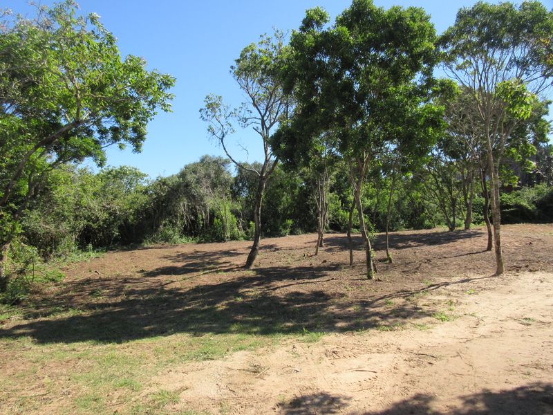 2 Bedroom House for Sale in Bathurst - Photo 8