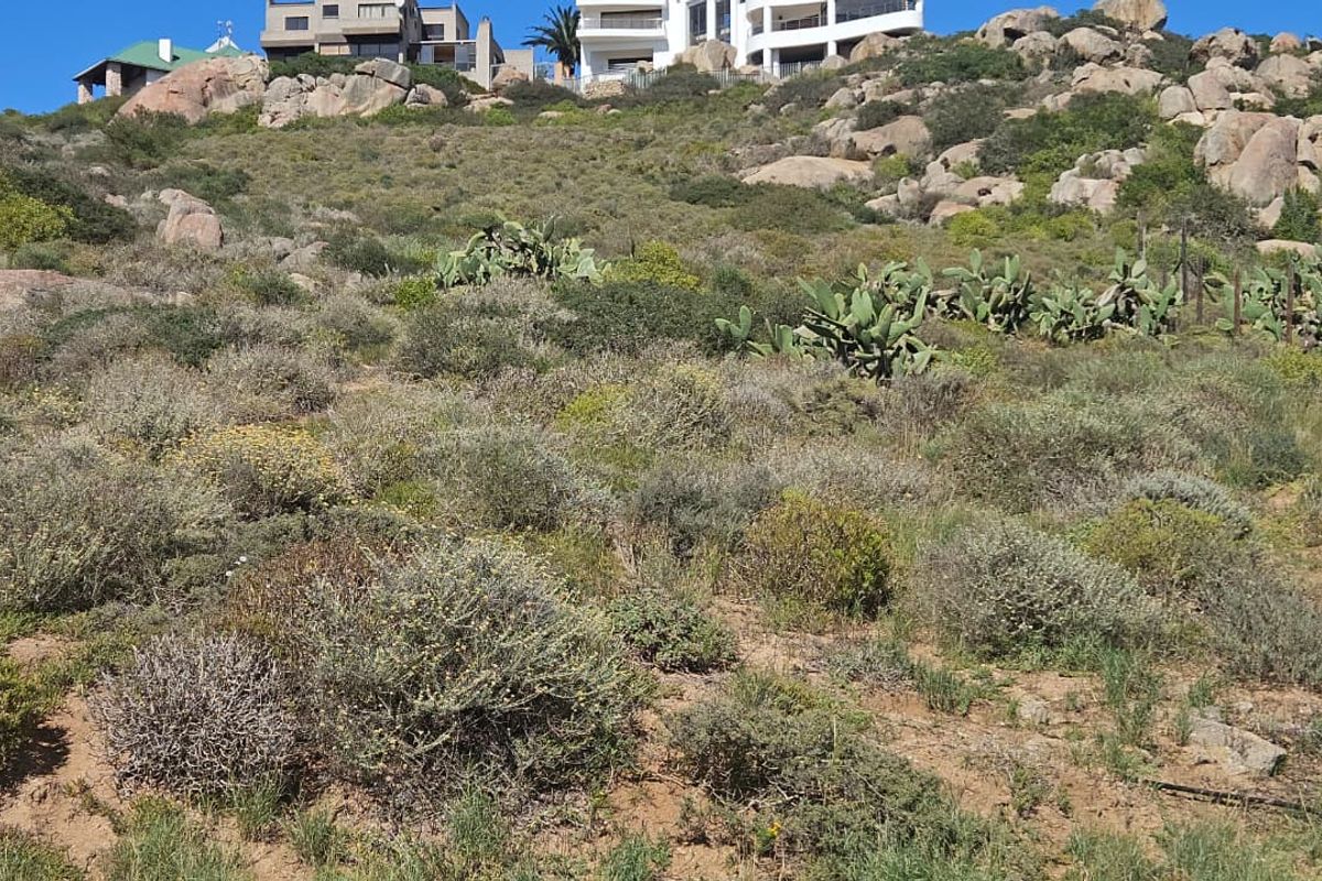 A sloped residential vacant land plot featuring natural rock formations and indigenous vegetation, with established properties visible in the background.
