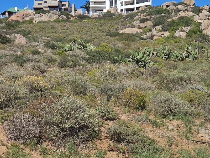 A sloped residential vacant land plot featuring natural rock formations and indigenous vegetation, with established properties visible in the background.