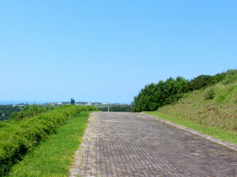 A paved driveway leading towards a residential area with distant coastal views and surrounding natural vegetation.