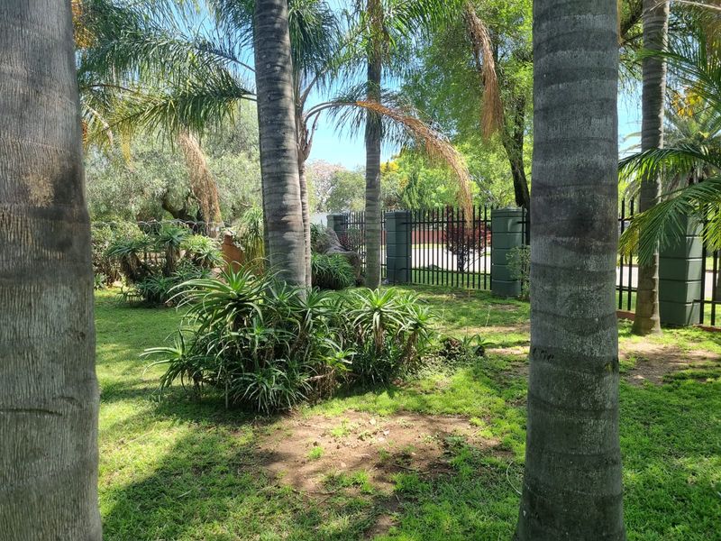 A well-established garden area featuring mature palm trees, manicured garden beds, and secure metal perimeter fencing with masonry pillars.