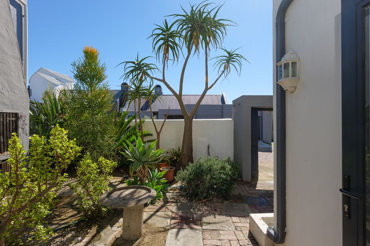 A private rear courtyard featuring paved flooring, established garden landscaping, and a secure boundary wall, providing a tranquil outdoor space.