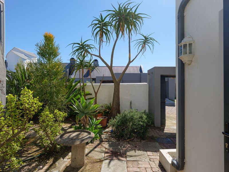 A private rear courtyard featuring paved flooring, established garden landscaping, and a secure boundary wall, providing a tranquil outdoor space.