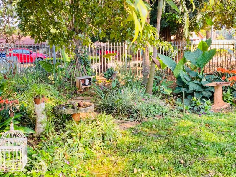 A lush, well-established garden featuring mature trees, diverse plantings, and secure metal perimeter fencing.