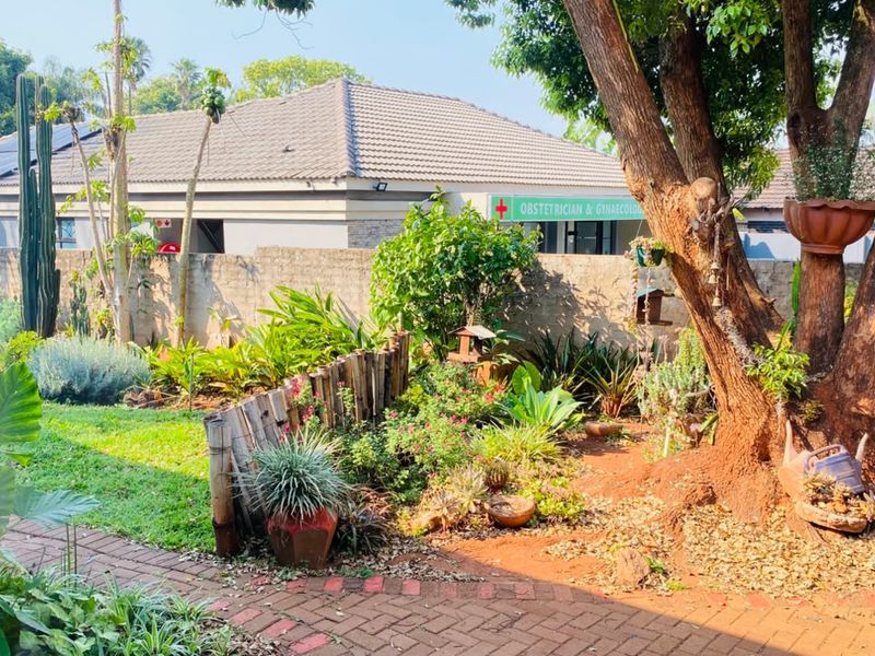 A well-established garden featuring mature trees, diverse plantings, and brick-paved pathways, enclosed by a solid boundary wall.