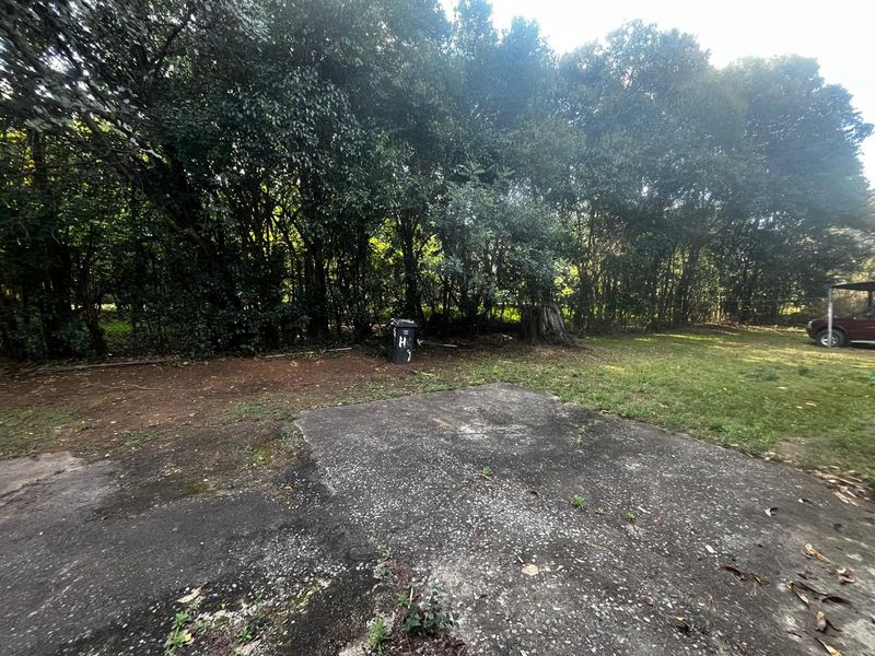A large outdoor garden area featuring a weathered concrete slab surrounded by mature trees and natural landscaping.