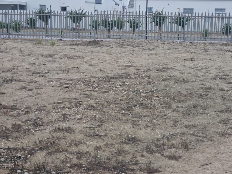 An undeveloped plot of land featuring sandy ground and secure metal palisade fencing with integrated electric security wires.