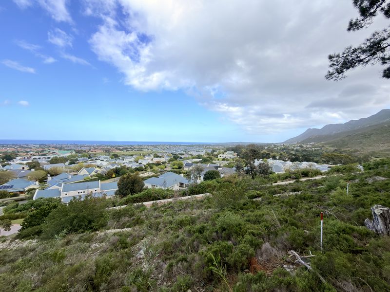 Elevated panoramic view overlooking the residential estate, surrounding landscape, and distant coastline.