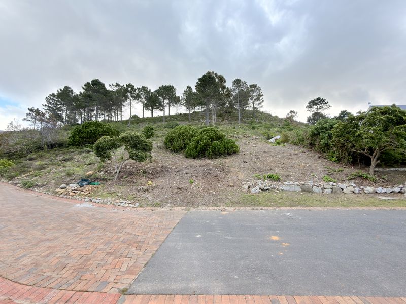 A vacant residential plot featuring a sloped landscape with established trees, bordered by a paved driveway and asphalt road.