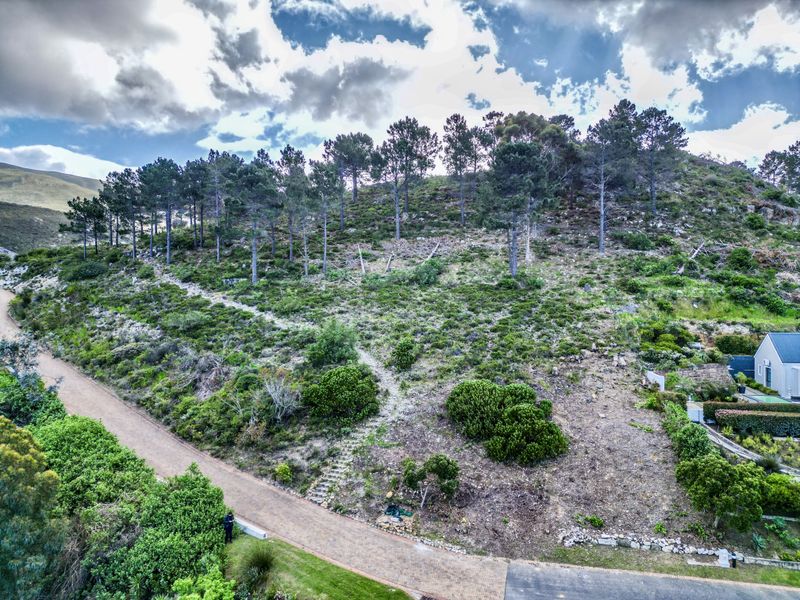 Aerial view of a sloped residential vacant land plot featuring established trees, a stone staircase, and access to a paved driveway.