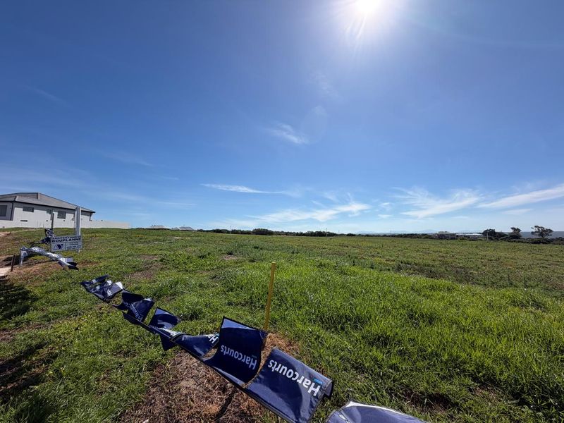 A wide-angle view of a vacant residential plot of land featuring natural grass coverage and clear boundary markers.