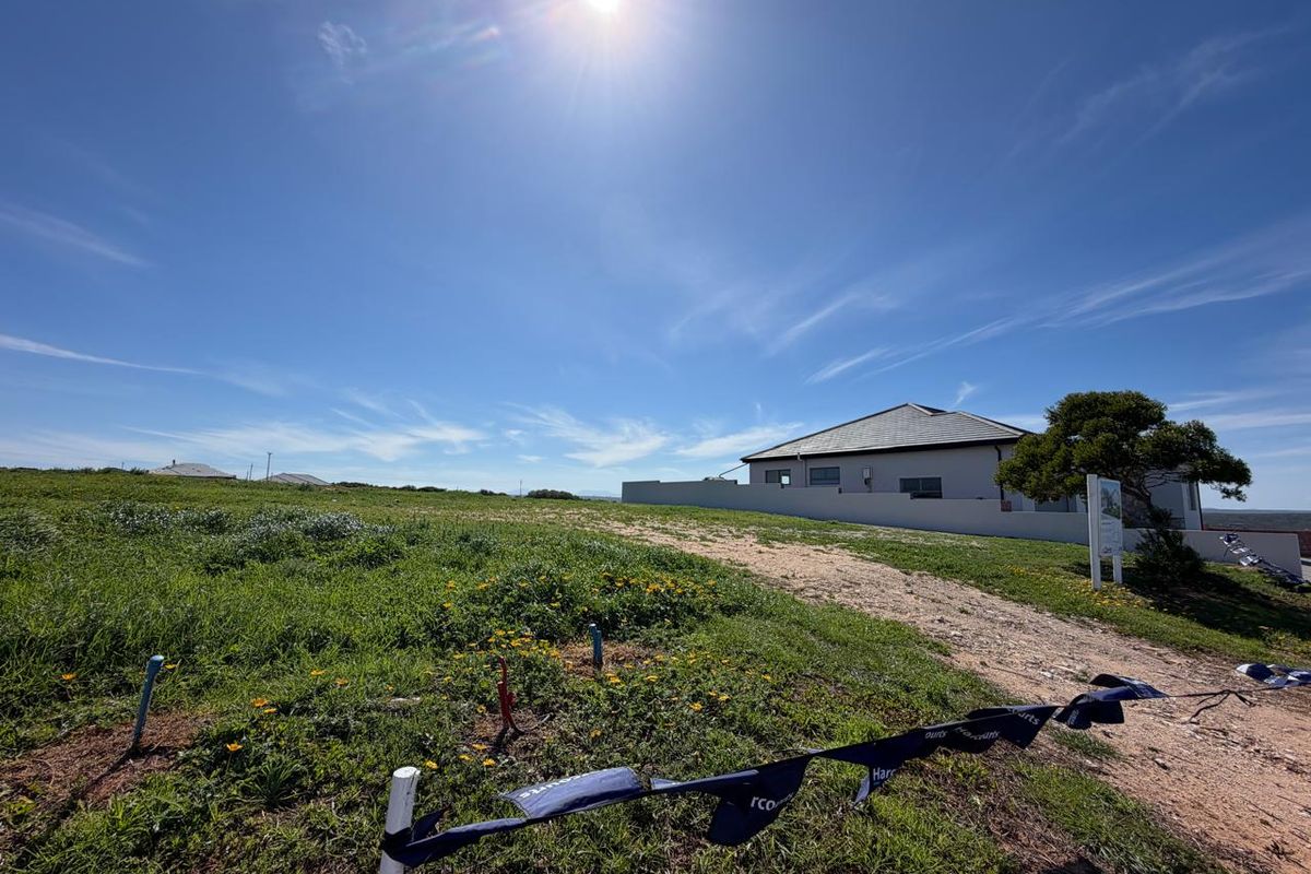 A vacant residential plot featuring an unpaved driveway, natural grass coverage, and adjacent boundary walling under a clear blue sky.