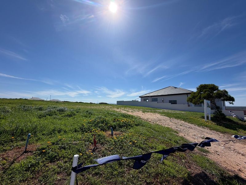 A vacant residential plot featuring an unpaved driveway, natural grass coverage, and adjacent boundary walling under a clear blue sky.