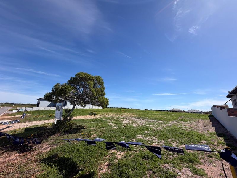 A wide-angle view of a vacant residential plot featuring natural grass coverage and a boundary wall, ready for development.