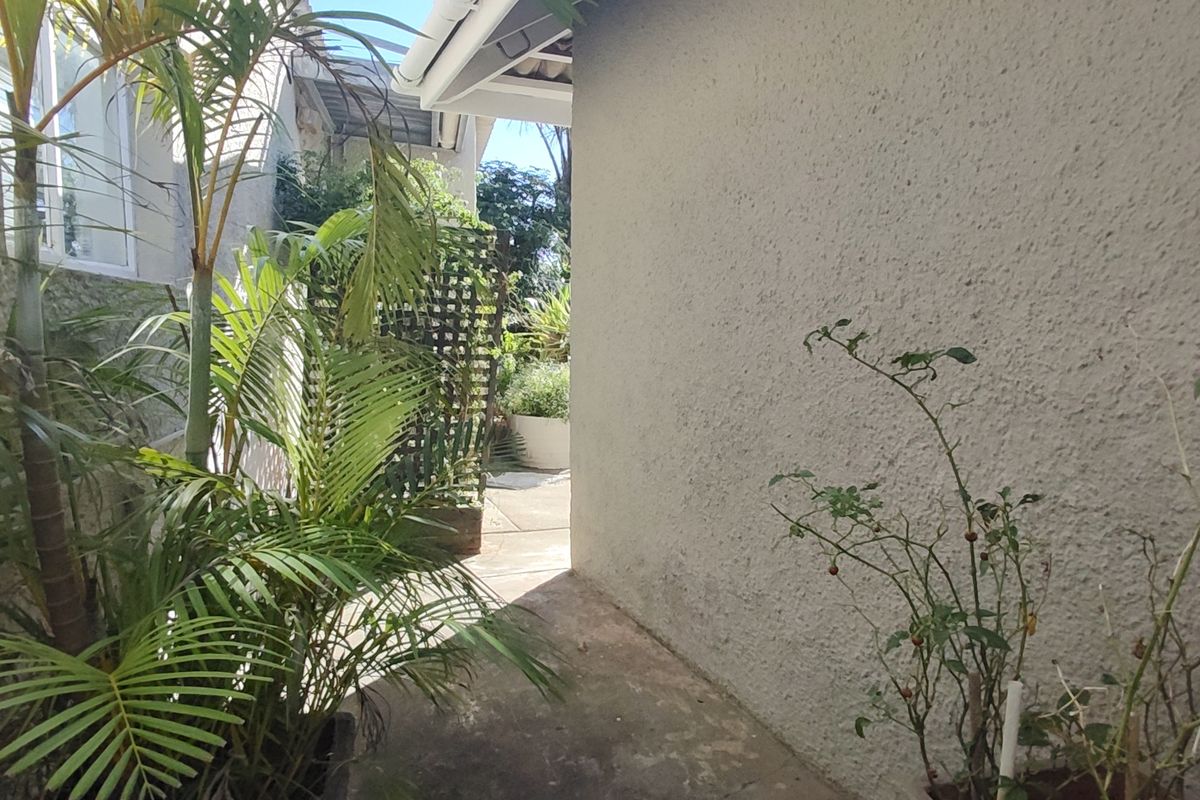 A narrow paved side passage or rear exterior walkway featuring textured stucco walls and a wooden trellis screen.