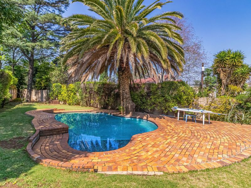 A well-maintained swimming pool area featuring a curved brick paved surround, mature palm tree, and established garden landscaping.
